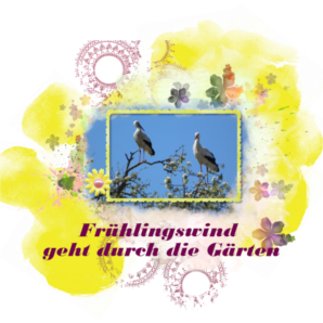 Weißstörche im Frühling mit dem Storch kommt der Frühling